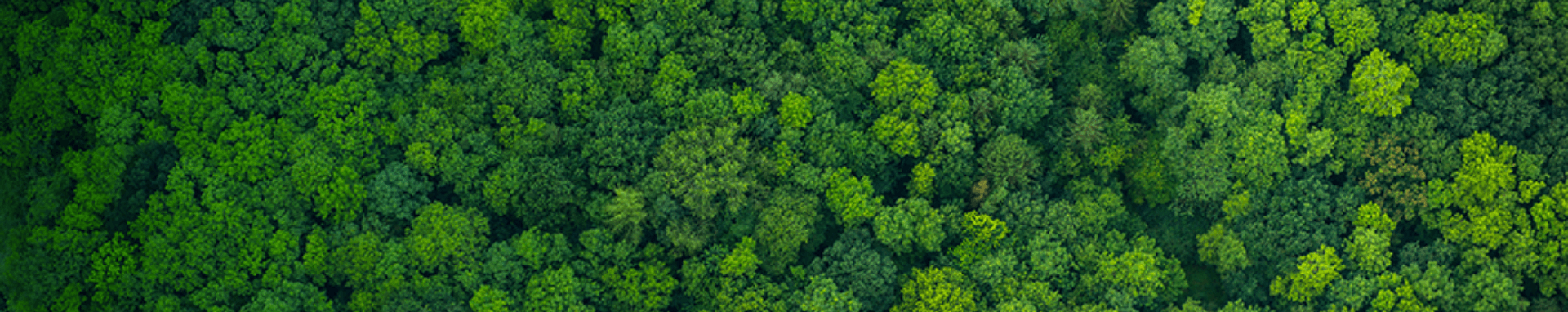 Sustainability Sustainability